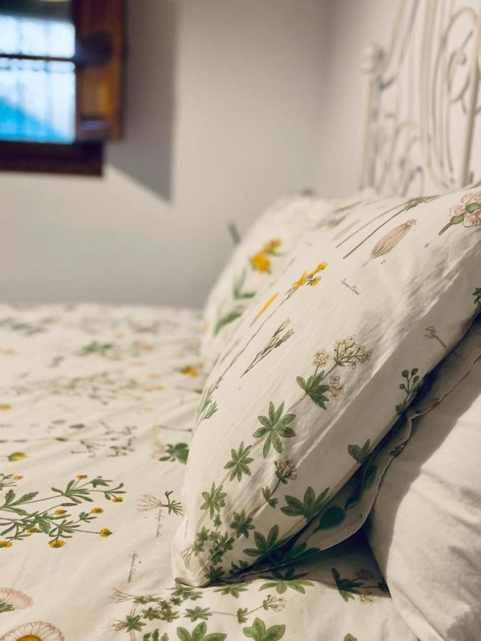 フエンテエリドス Casa Papiquiヴィラ エクステリア 写真