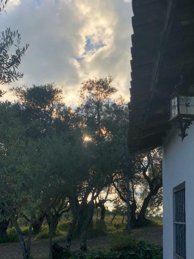フエンテエリドス Casa Papiquiヴィラ エクステリア 写真